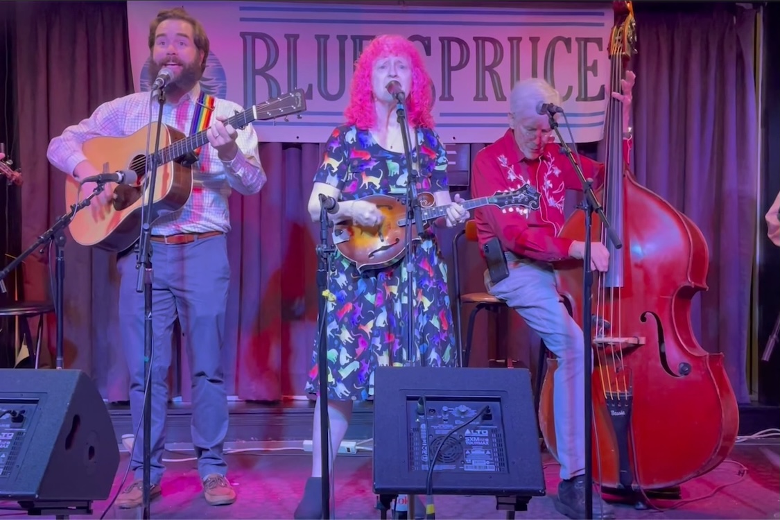 [Blue Spruce at the New Deal Cafe]